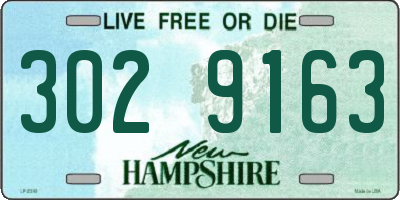 NH license plate 3029163
