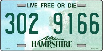 NH license plate 3029166