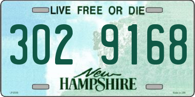 NH license plate 3029168
