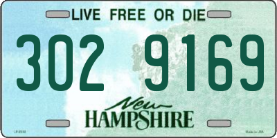 NH license plate 3029169