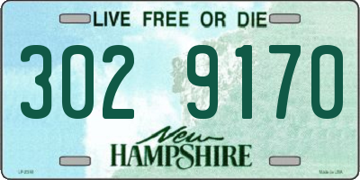 NH license plate 3029170