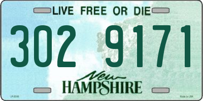 NH license plate 3029171