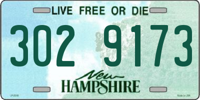 NH license plate 3029173