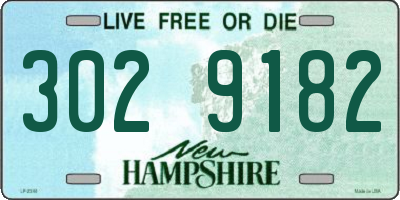 NH license plate 3029182