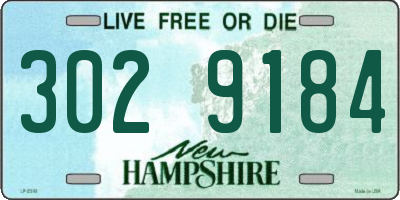 NH license plate 3029184