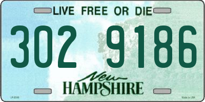 NH license plate 3029186
