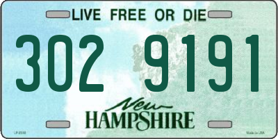 NH license plate 3029191
