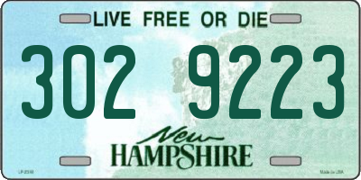 NH license plate 3029223