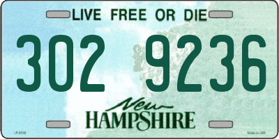 NH license plate 3029236