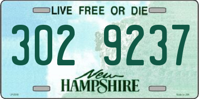 NH license plate 3029237