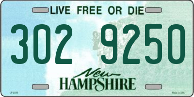 NH license plate 3029250