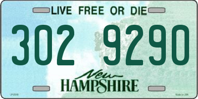 NH license plate 3029290