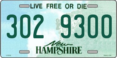 NH license plate 3029300