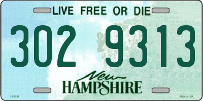 NH license plate 3029313