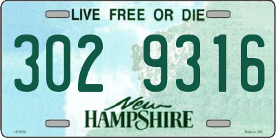 NH license plate 3029316