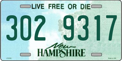 NH license plate 3029317