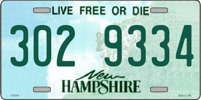 NH license plate 3029334