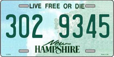 NH license plate 3029345