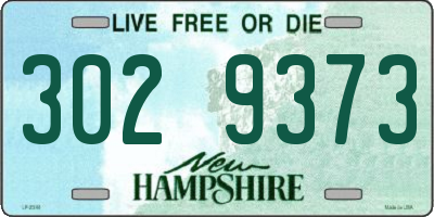 NH license plate 3029373