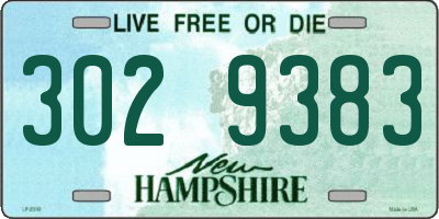 NH license plate 3029383