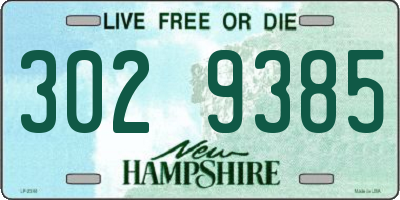 NH license plate 3029385