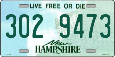 NH license plate 3029473