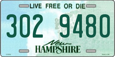 NH license plate 3029480