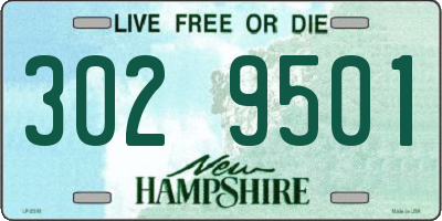 NH license plate 3029501