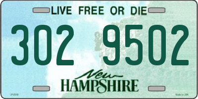 NH license plate 3029502