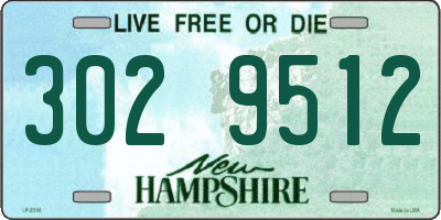 NH license plate 3029512