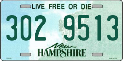 NH license plate 3029513