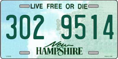 NH license plate 3029514