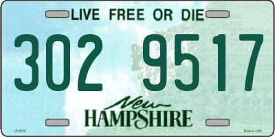 NH license plate 3029517