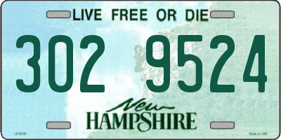 NH license plate 3029524