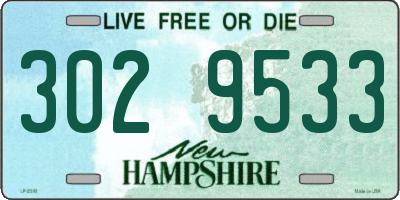 NH license plate 3029533