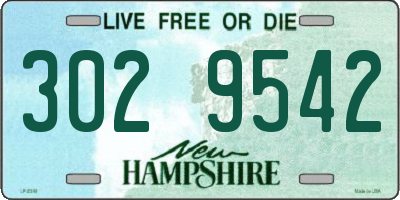NH license plate 3029542