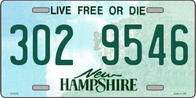 NH license plate 3029546