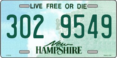 NH license plate 3029549