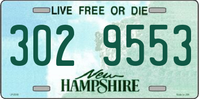 NH license plate 3029553
