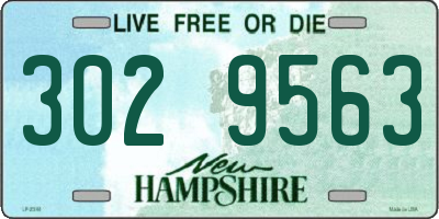 NH license plate 3029563