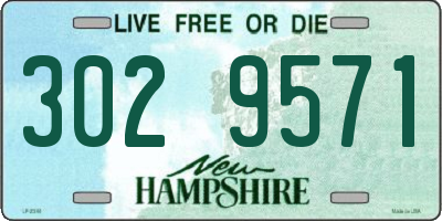 NH license plate 3029571