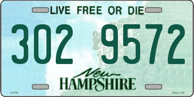 NH license plate 3029572