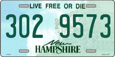 NH license plate 3029573