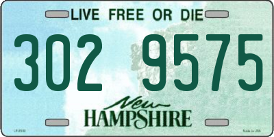 NH license plate 3029575