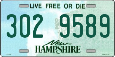 NH license plate 3029589