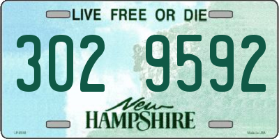 NH license plate 3029592