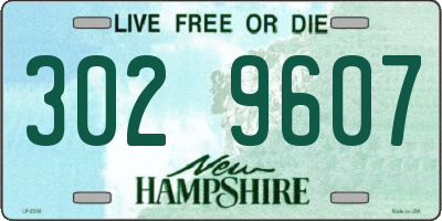 NH license plate 3029607