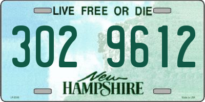 NH license plate 3029612