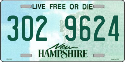 NH license plate 3029624