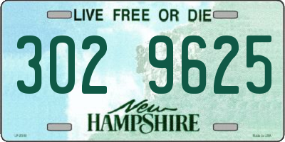 NH license plate 3029625